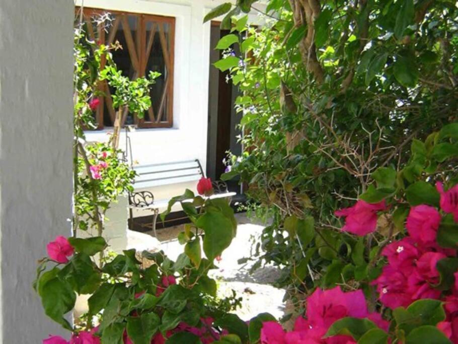 Alternative Space B & B 스바코프문트 외부 사진